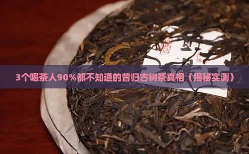昱韵茶业昔归古树茶