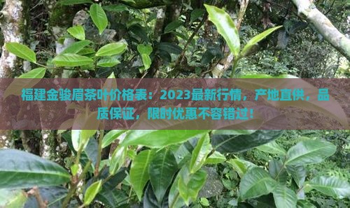 福建金骏眉茶叶价格表