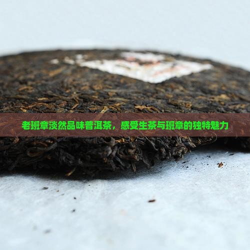 老班章淡然品味生普洱茶