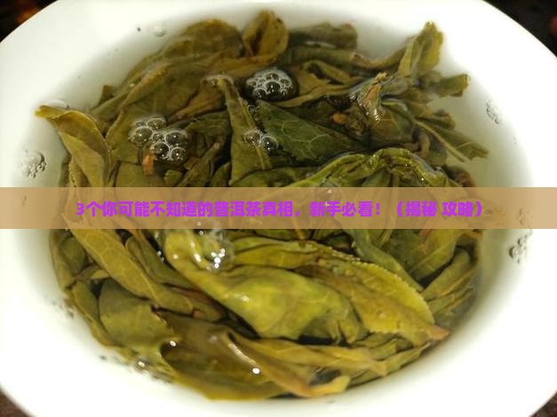 普洱茶的分类与品种