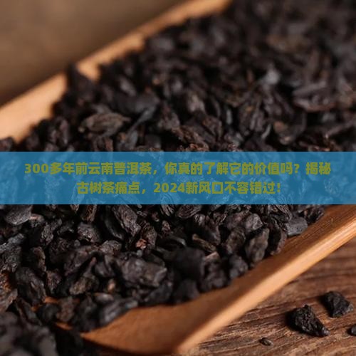 300多年前云南普洱茶