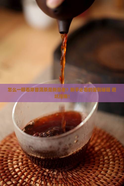 如何识别新老普洱茶
