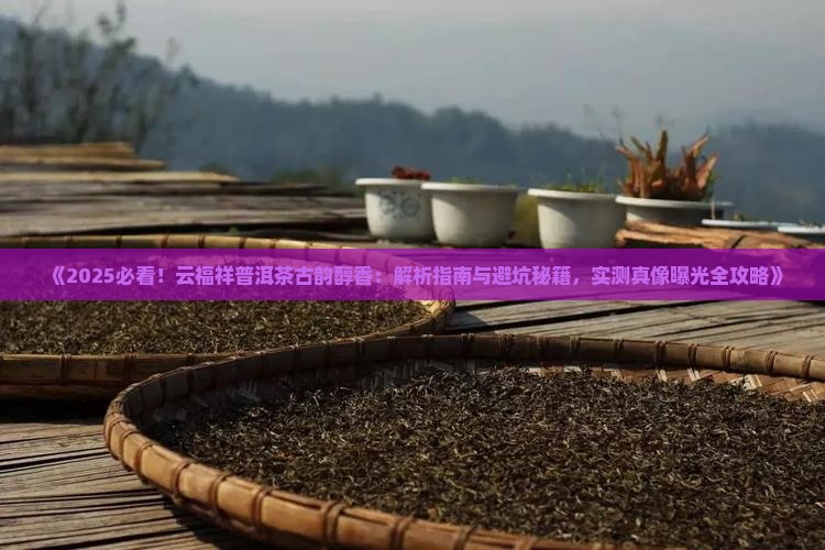 云福祥普洱茶古韵醇香