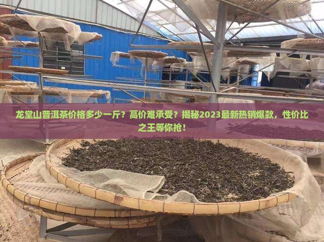龙堂山普洱茶价格多少一斤
