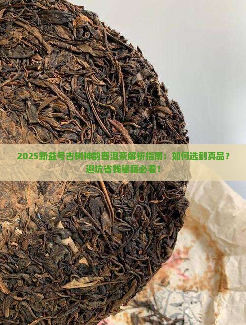 新益号古树神韵普洱茶 新益号古树神韵普洱茶