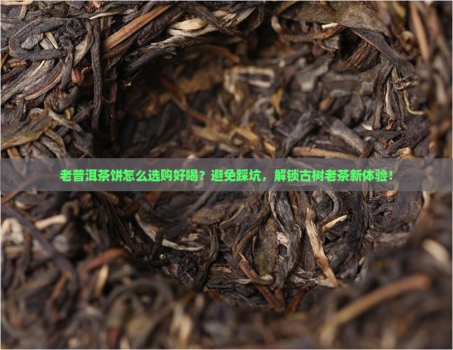 老普洱茶饼怎么选购好喝