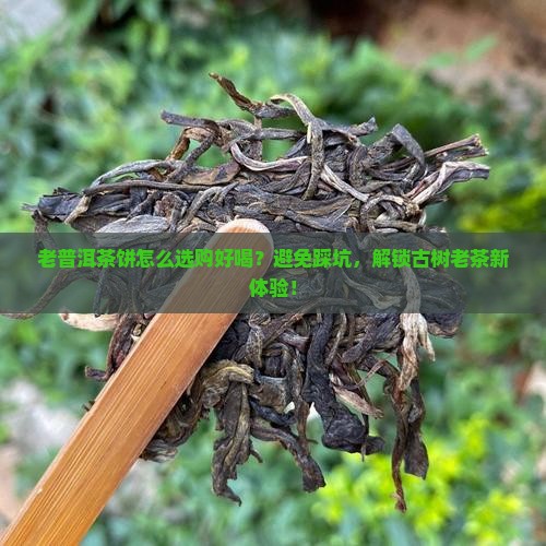 老普洱茶饼怎么选购好喝