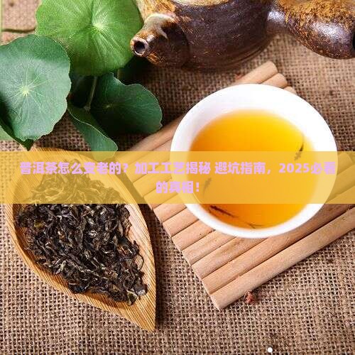 普洱茶的加工工艺分别