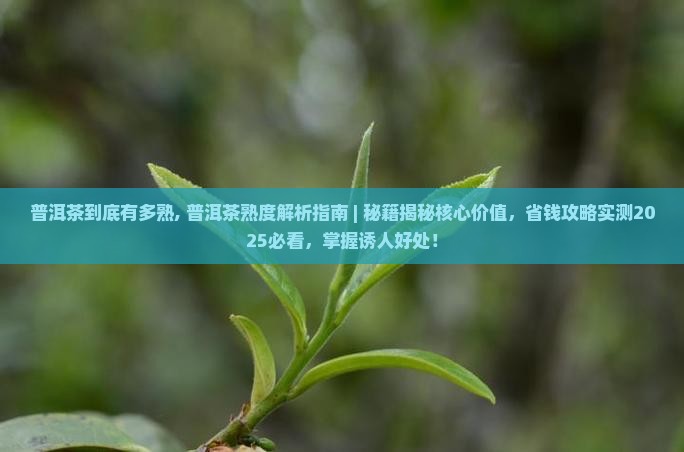 普洱茶到底有多熟
