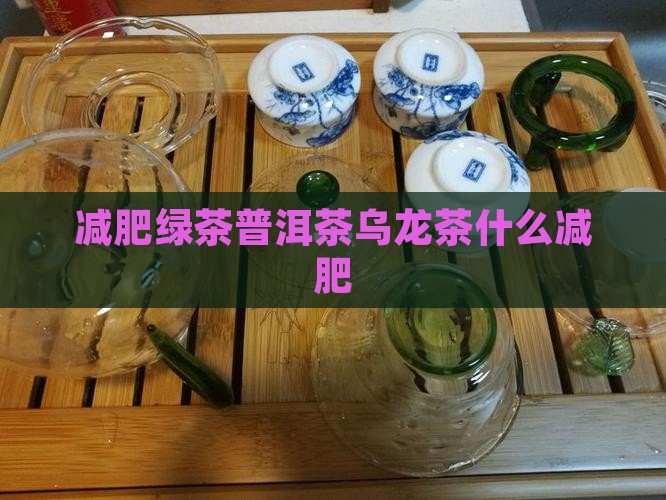 减肥绿茶普洱茶乌龙茶