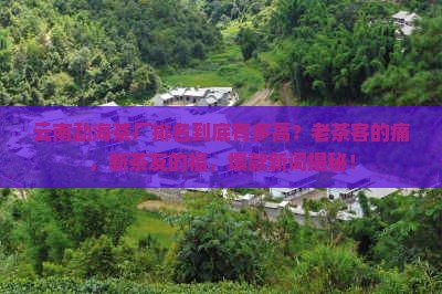云南勐海茶厂排名