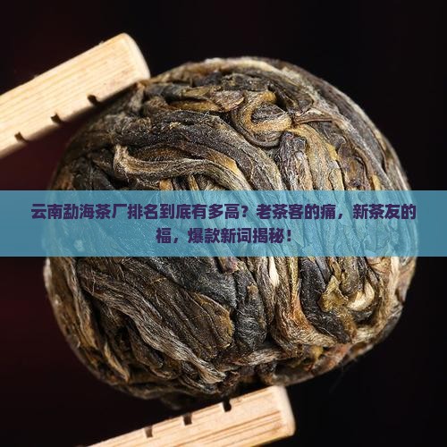 云南勐海茶厂排名
