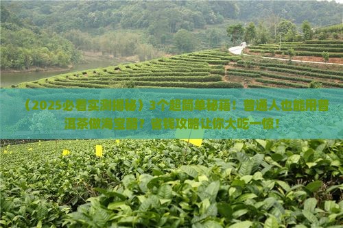 可以用普洱茶做海宝醋吗