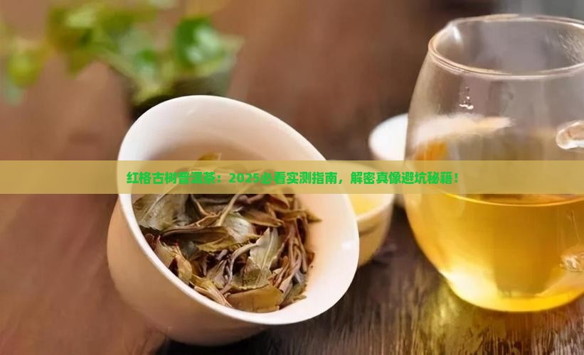 红格古树普洱茶