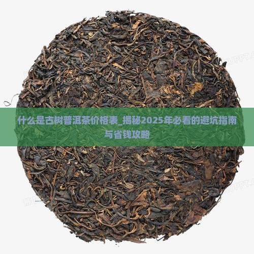 什么是古树普洱茶价格表