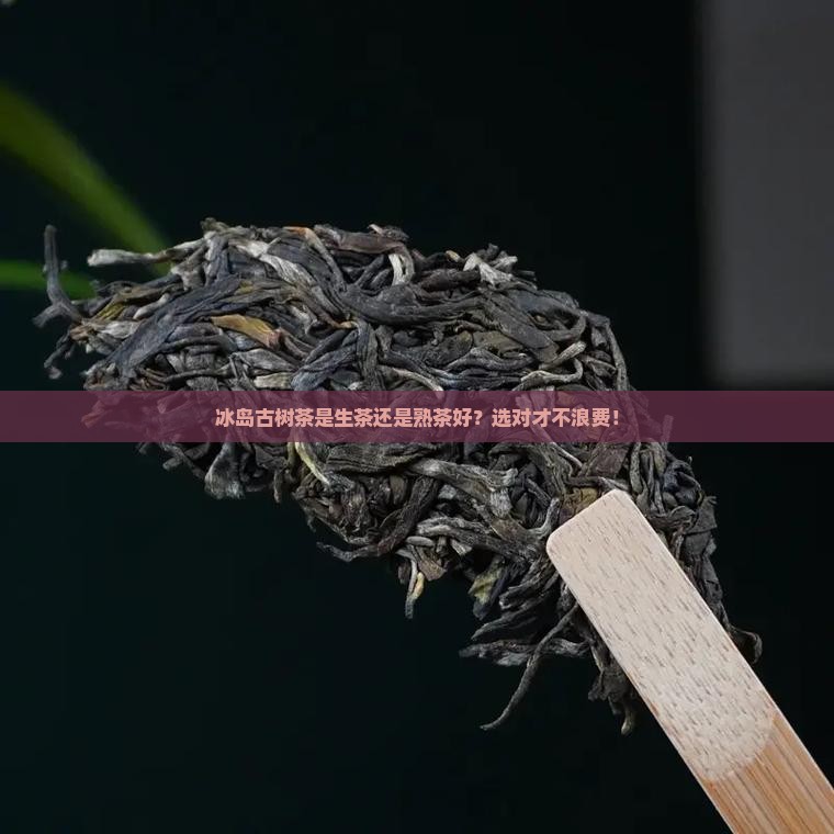 冰岛古树茶是生茶还是熟茶好