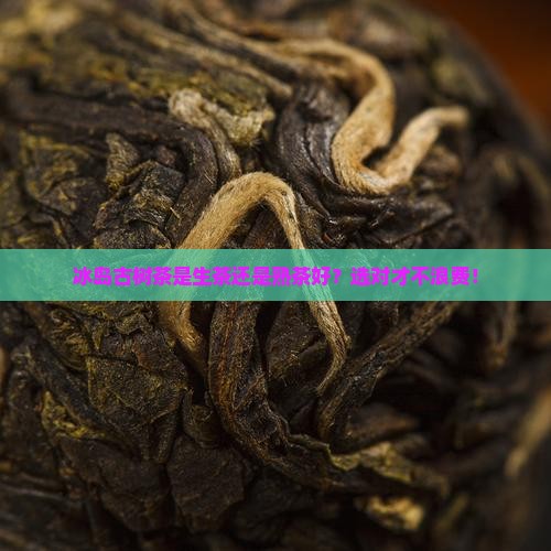 冰岛古树茶是生茶还是熟茶好