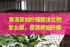 普洱茶加柠檬做法比例怎么做 普洱茶加柠檬做法比例怎么做