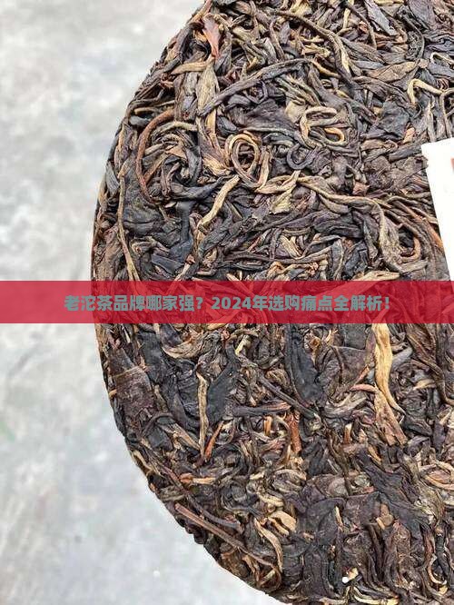 老沱茶品牌排行榜