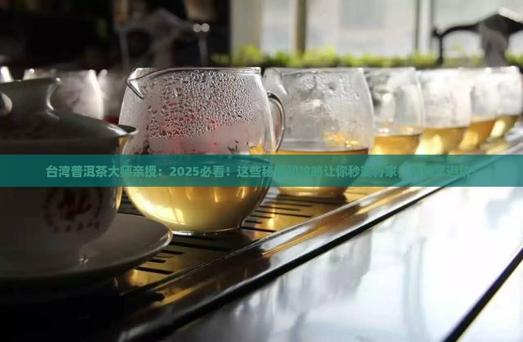 台湾普洱茶大师致