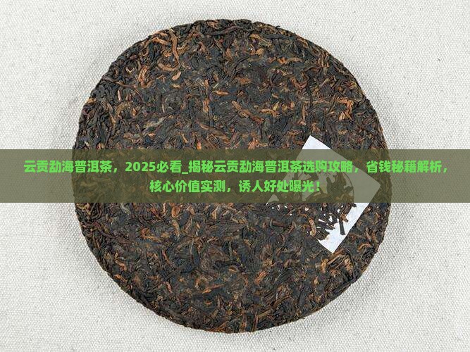 云贡勐海普洱茶