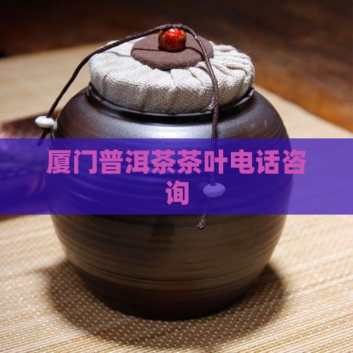 厦门熟普洱茶咨询电话