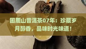 困鹿山普洱茶07年
