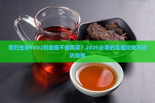 昔归生茶1802