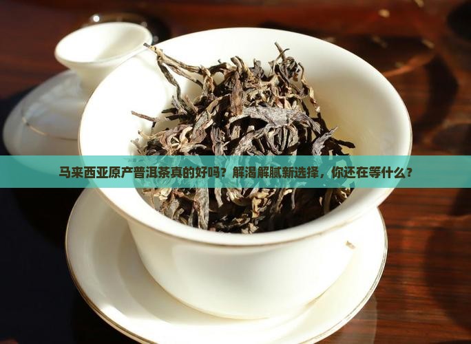 马来西亚原产普洱茶