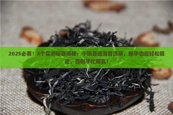 千眼菩提泡普洱茶