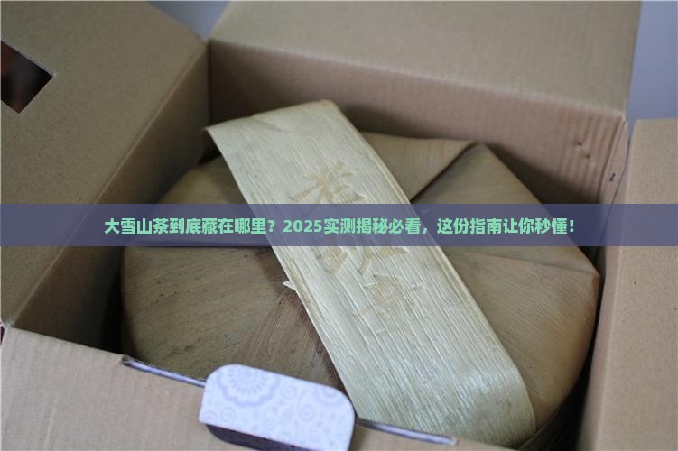 大雪山茶在哪个地方