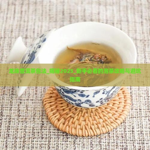 龙珠普洱茶包法