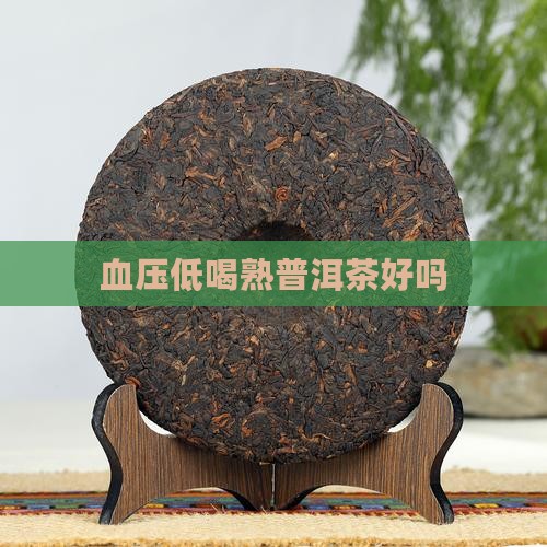 血压低喝熟普洱茶好吗