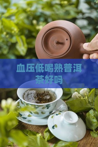 血压低喝熟普洱茶好吗