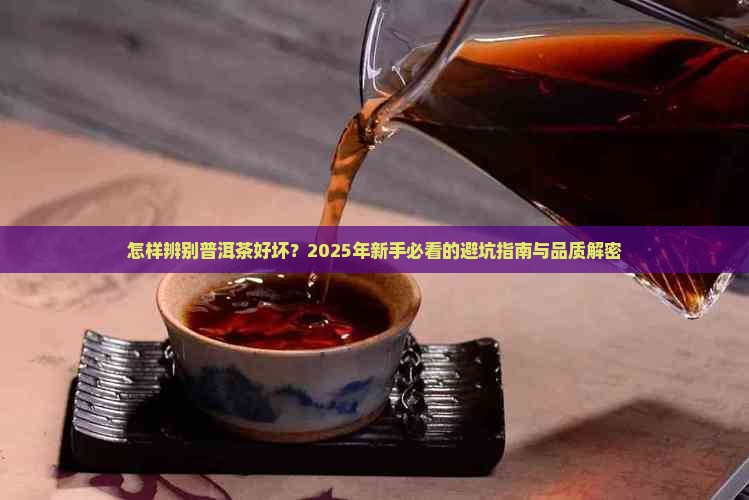 怎样区分普洱茶品质