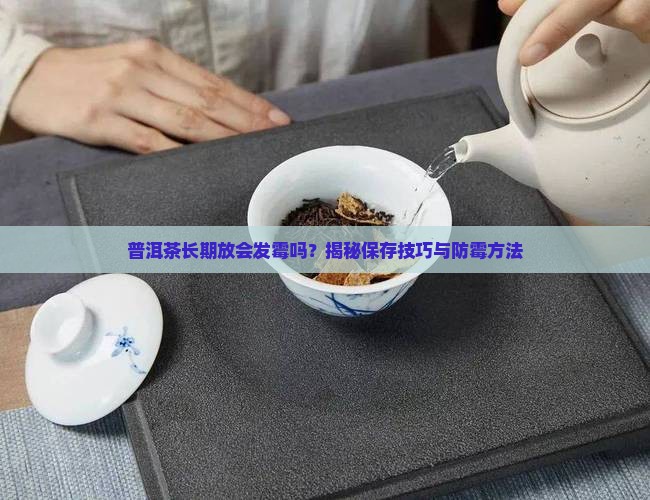 普洱茶长期放会发霉吗 普洱茶长期放会发霉吗