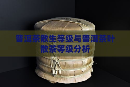 普洱茶散生等级