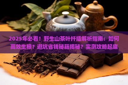 野生山茶叶怎样扦插