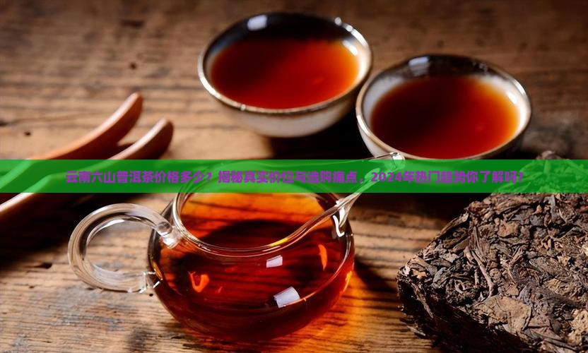云南六山普洱茶价格多少 云南六山普洱茶价格多少