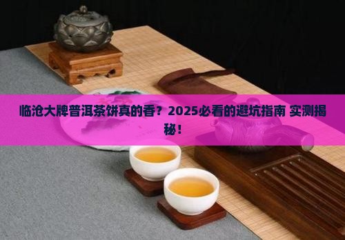 临沧的大品牌普洱茶饼