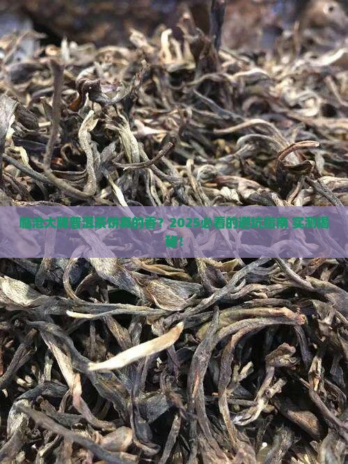 临沧的大品牌普洱茶饼