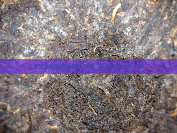 普洱茶的发霉和白霜