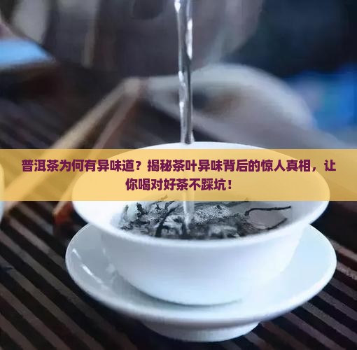 普洱茶为何有异味道