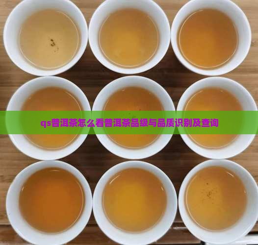 qs普洱茶怎么看