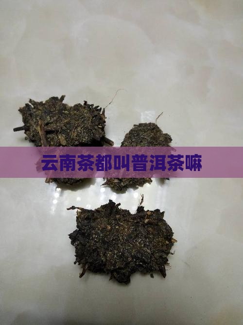 云南茶都叫普洱茶嘛