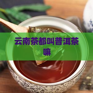 云南茶都叫普洱茶嘛
