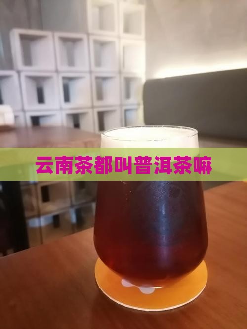 云南茶都叫普洱茶嘛