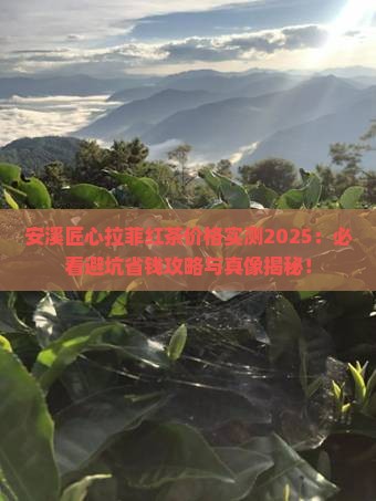 安溪匠心拉菲红茶价格