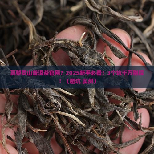 高黎贡山普洱茶官网