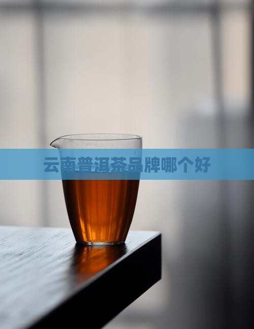 版纳普洱茶哪个好